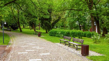 Green park and path in green spring city park