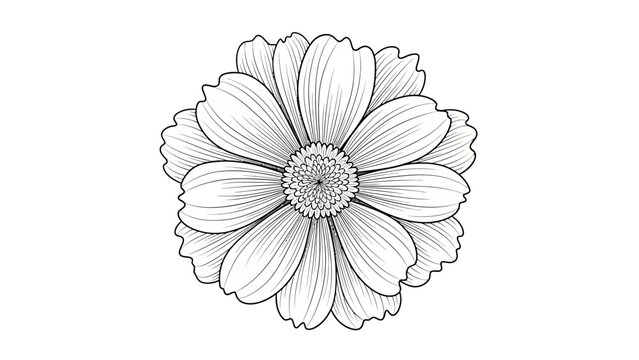 A detailed black and white line art illustration of a single blooming cosmos flower on a white background.