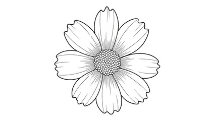 Fototapeta premium Black and white line art illustration of a single flower with multiple petals and a textured center, isolated on a white background.