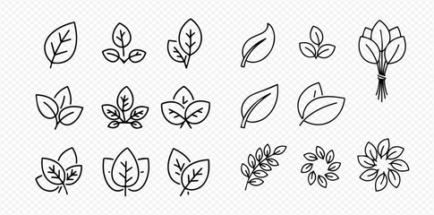 Set of various line art leaf icons and plant elements on a transparent background.