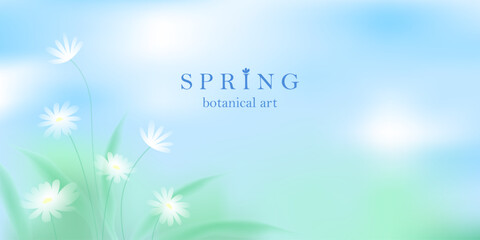 Obraz premium Spring landscape blurred background. White elegant soft flowers. Blue sky, green grass. Calm and Fresh natural backdrop.