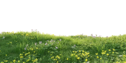 Wandcirkels Gras Verdant Hill Blooming with Yellow Flowers in Spring. 3D render.    © snesivan