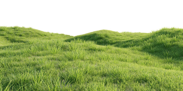 Verdant Hill Blooming with Yellow Flowers in Spring. 3D render.	

