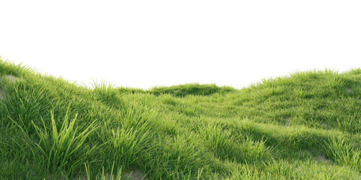 Verdant Hill Blooming with Yellow Flowers in Spring. 3D render.	
