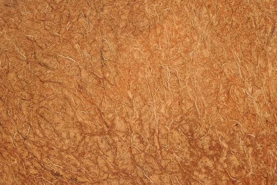 Abstract texture background of brown coconut flesh or testa skin.For graphic design, 3D rendering and banners