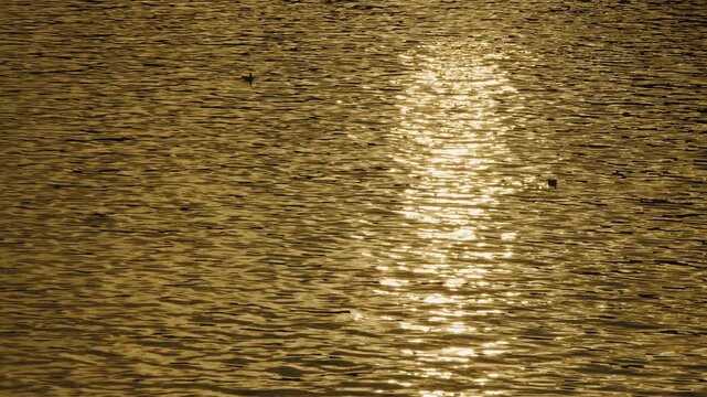 Reflection of the sun in the River La Seine 