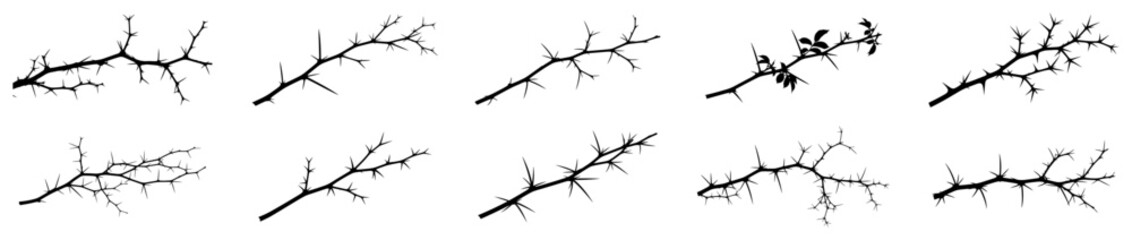 Obraz premium Collection of sharp thorny branches and dry twigs silhouettes for nature and religious themes