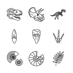 Paleontology Icons Set: Dinosaur Skulls, Skeletons, Fossils, Teeth, and Ammonites in Outline Style.