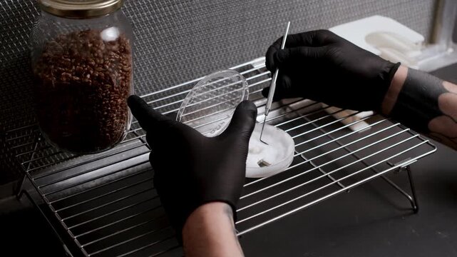 Petri dish of white mycelium is carefully opened before a sterile tool cuts and lifts square agar fragments, showing controlled aseptic handling in a biotechnology lab under laminar airflow hood.