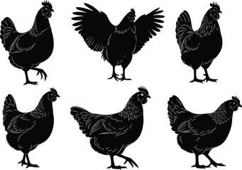 Black And White Vector Silhouette Set Of Six Hens And Roosters Featuring Various Standing Walking And Wing Spreading Poses For Farm Agricultural Industry Design © MstSahara