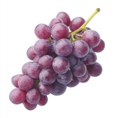 Fototapeta premium Fresh Purple Grapes on Vine Ready to be Enjoyed, Healthy Snack Full of Nutrients, Delicious and Juicy Fruit