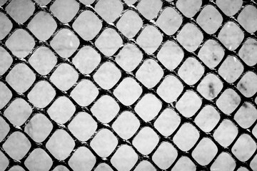 Fototapeta premium The backlit photograph of the plastic mesh creates a beautiful pattern.