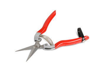 Red Garden Pruning Shears Isolated on White