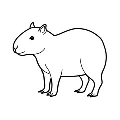 Obraz premium capybara animal lineart illustration on white background