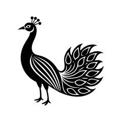 Fototapeta premium peacock bird lineart illustration on white background