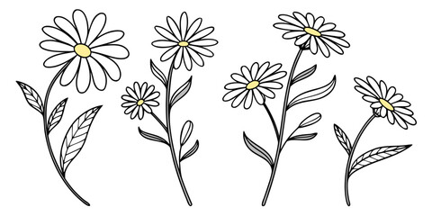 A delightful illustration of four different types of flowers in a row © Icon Set