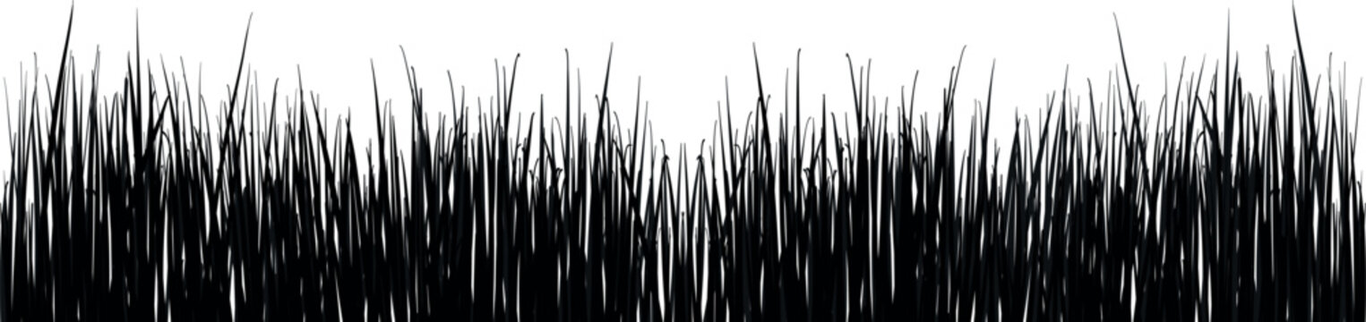 Tall Grass Silhouette Texture Background