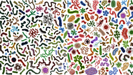 Naklejka premium Gut Microbiome Split Screen Comparison, Healthy Diverse Flora versus Damaged Unhealthy Microbiome Illustration