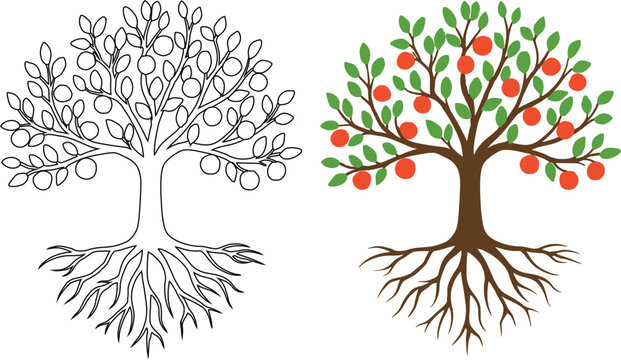 Apple Tree with Roots Vector Illustration - Realistic and Line Art Style Bundle