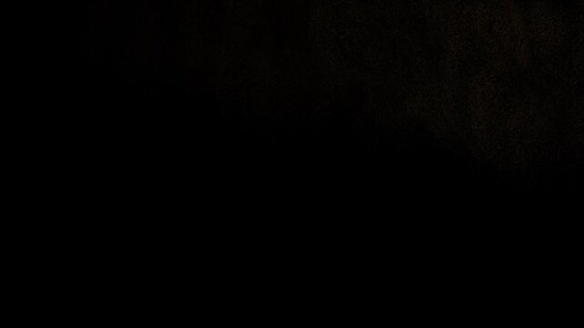 Cinematic Sand Dissolve Title &ndash; The End Text Animation