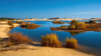 Obraz premium A serene, natural landscape featuring a calm lake surrounded by sand dunes and vegetation, with a clear blue sky overhead.