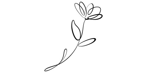 Fototapeta premium Simple black line drawing of a delicate flower with leaves on a plain white background.