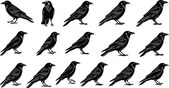 Fifteen crow or raven silhouette illustrations in grid, black bird designs with one unique forward-facing posture for variation.