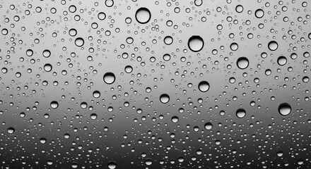 Water droplets on dark textured surface close-up black and white minimalist background
