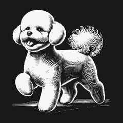 Charming Poodle Illustration: A Delightful Canine Companion in Detailed Line Art.