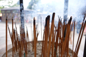Zen garden and nature in Japan, calm outdoor background