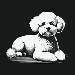 Elegant White Poodle Illustration on Black Background Detailed and Charming.