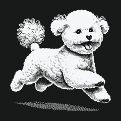 Playful Bichon Frise Illustration: A Joyful Canine Companion in Motion.