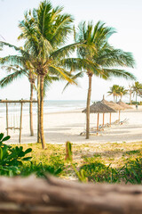 Fototapeta premium Relaxing tropical beach at My Khe in Danang, Vietnam with palms, hammocks, and straw umbrellas