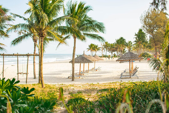 My Khe Beach in Danang, Vietnam with palm trees, hammocks, straw umbrellas, and sea