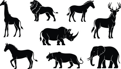 Wildlife, animal, silhouettes, collection, safari, zoo, vector, illustration, lion, giraffe, elephant, rhino, deer, zebra, panther, black, outline, bundle, set, design © Mst