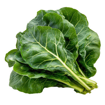 Fresh green chard leaves isolated on a transparent background