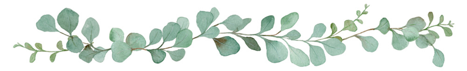 Watercolor Eucalyptus Border Line: Botanical Divider and Seamless Decorative Element for Wedding and Nature Design-300dpi-