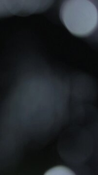 Mysterious Vertical Flashing Light Bokeh Transition, Mysterious Night Silhouettes In Dark Frame Sequence. perfect for thriller clip