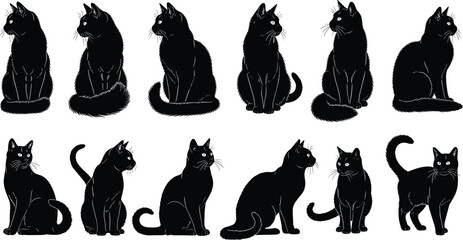 Cat silhouette illustration set, twelve black icons varied poses sitting standing turning feline animal design, vector artwork, pet and lifestyle theme, isolated background © Sajjad
