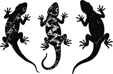 Silhouettes of three geckos in varied poses, reptile shapes with textured and smooth body outlines