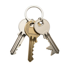 A set of keys on a key ring
