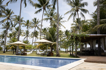 Fototapeta premium piscina de resort de luxo tropical à beira-mar (ou beachfront), com águas azuis cristalinas, cercada por um gramado verde bem cuidado e dezenas de coqueiros altos (cocos nucifera) balançando ao vento.