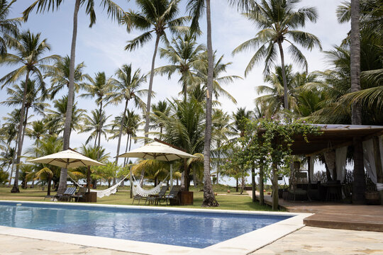 piscina de resort de luxo tropical &agrave; beira-mar (ou beachfront), com &aacute;guas azuis cristalinas, cercada por um gramado verde bem cuidado e dezenas de coqueiros altos (cocos nucifera) balan&ccedil;ando ao vento.