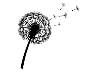 Minimalist Vector Illustration of a Dandelion with Seeds Blowing in the Wind