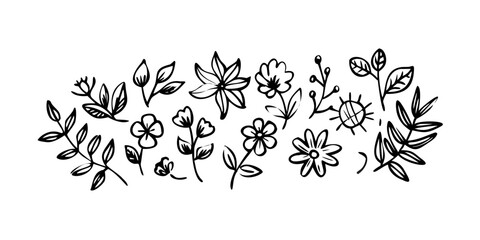 A beautiful and intricate floral arrangement with various types of flowers and leaves Vector