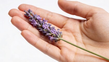 Woman Holding Flower Symbolizing Appreciation and Femininity