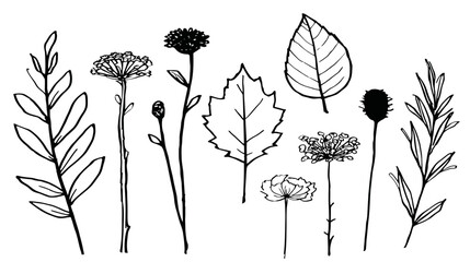 Naklejka premium Hand-drawn botanical illustration set with various outline leaves, stems, and wildflowers. Organic nature sketch elements.