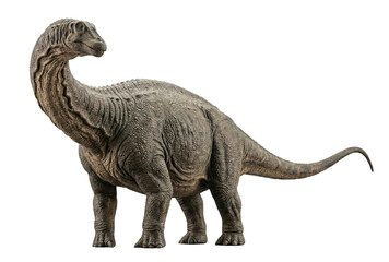 Fototapeta premium Brachiosaurus sauropod dinosaur isolated. Giant herbivore side view.