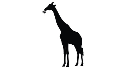 A striking black silhouette of a giraffe stands in profile delicately holding a flower in its mouth high quality © VoDesign02