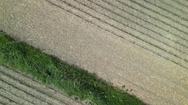 The beauty of the simplicity of a freshly planted farm field, that isn't quite done. Stripes of lines where seeds are in the soil contrast with bare soil ready to be planted. flying up,4k, drone